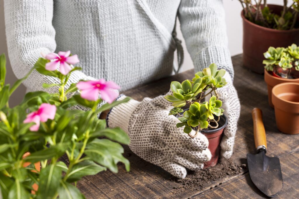 The Top 5 Sustainable Gardening Practices You Need to Try